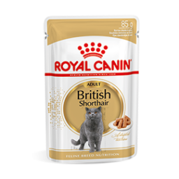Royal Canin British Shorthair Adult Natvoer Kat 48x 85g