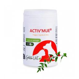 ACTIV'MUE