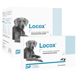 Locox Comprimés