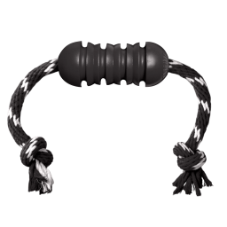 KONG Extreme Dental met Touw Medium
