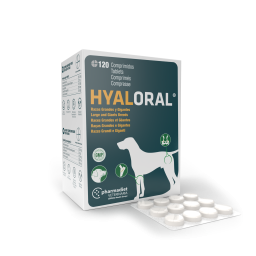 Hyaloral 120 tabletten