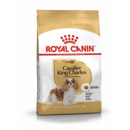 Royal Canin Cavalier King Charles Adulte pour chien 3kg