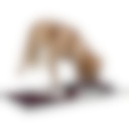 Trixie Dog Activity strategiespel snuffelmat 70 × 47 cm