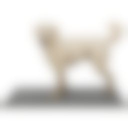 Trixie Schoonloopmat waterdicht 60 × 50 cm grijs