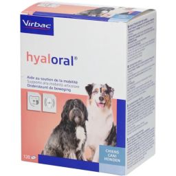 Hyaloral 120 comprimés