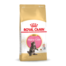 Royal Canin Maine Coon Chaton pour chat 10kg