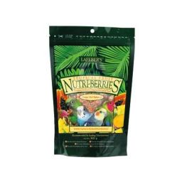 Nutri-berries Tropical fruit Parakeet - 300g