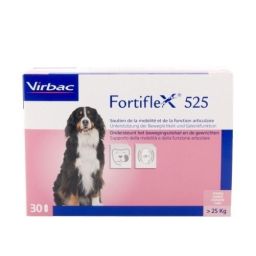 Fortiflex 525 - 30 tabletten