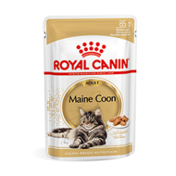 Royal Canin Maine Coon Adult Natvoer Kat 48x 85g