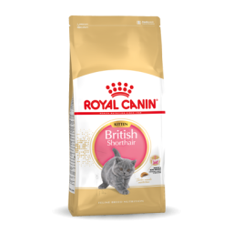 Royal Canin British Shorthair Kitten Kat 10kg