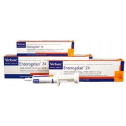 Enterogelan 24 pasta doseerspuit hond 24ml
