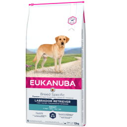 Eukanuba Labrador Retriever pour chien 12kg