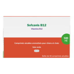Sofcanis B12 40 Comprimés