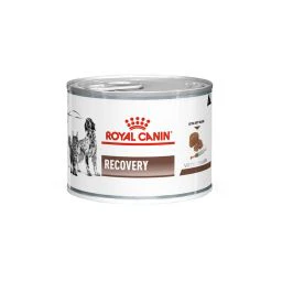 Royal Canin Recovery canine/feline