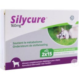 Silycure Nf 160mg 30 tabletten