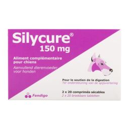 Silycure Nf 150Mg 40 tabletten (Blister)