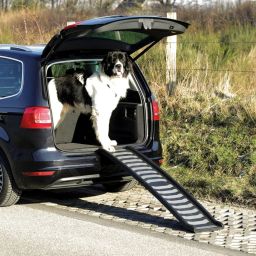Trixie Inklapbare Loopplank Hond Zwart 160x39cm
