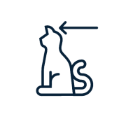 Nettoyant oreilles chat