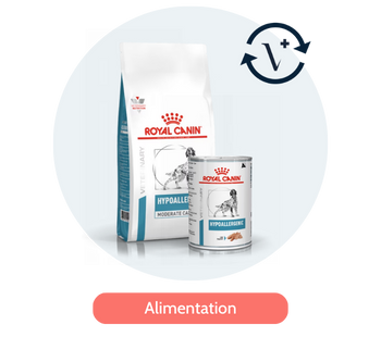 Abonnement nourriture pour chien