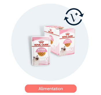 Alimentation chat abonnement