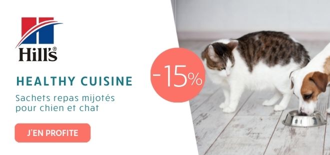 -15% Hill's Healthy cuisine chien et chat