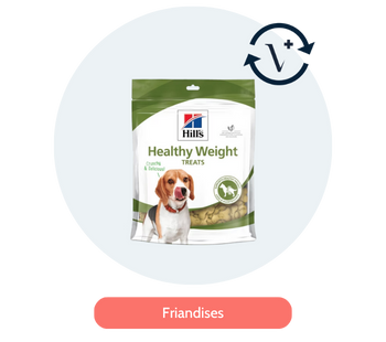 Friandises pour chien en abonnement