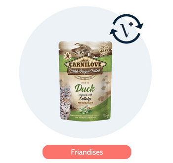 Abonnement friandises chat