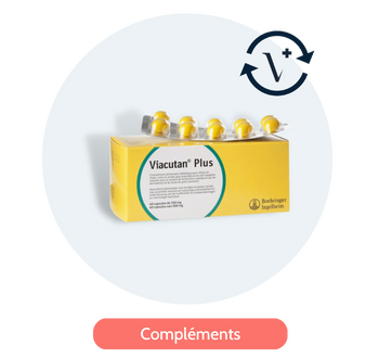 Compléments chat par abonnement