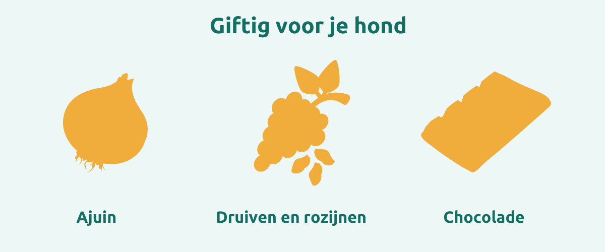 Schema giftige voeding voor honden