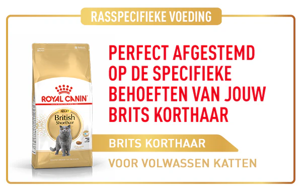 Royal Canin Breed voor Britse Kortaar