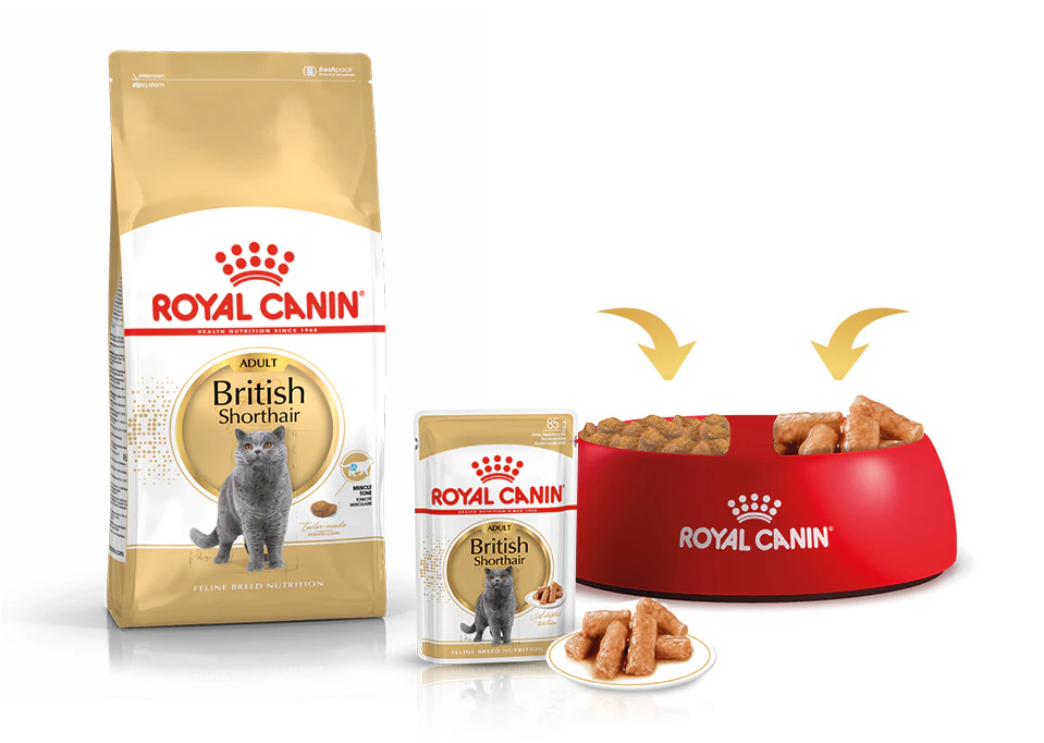 Royal Canin Britse korthaar combineer droog en natvoer