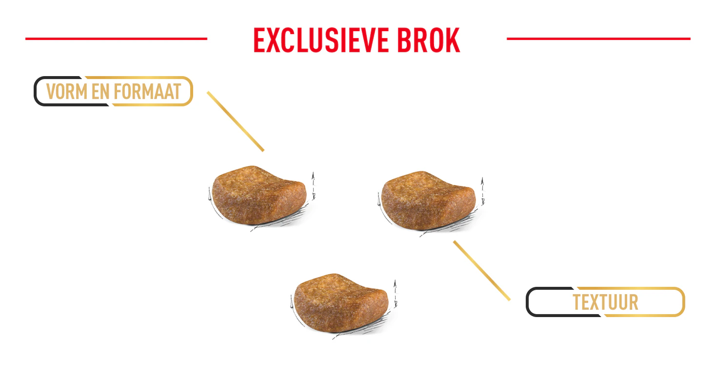 Royal Canin Britse korthaar exclusieve brok