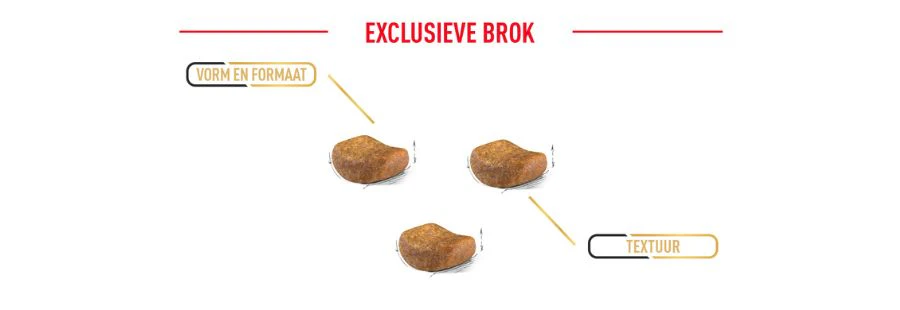 Royal Canin Britse korthaar exclusieve brok