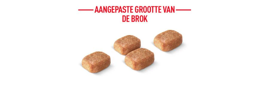 Royal canin Chihuahua aangepaste brokjes pictogram