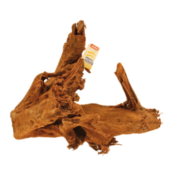 Decoratiehout voor hagedissen