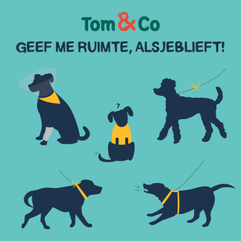 Stresssignalen bij honden Tom&Co
