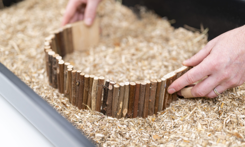 Inrichting hamsterkooi