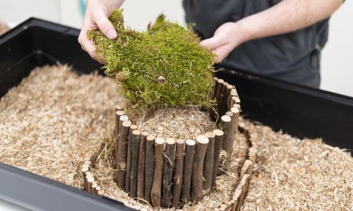 Mos als bodembedekking hamsterkooi