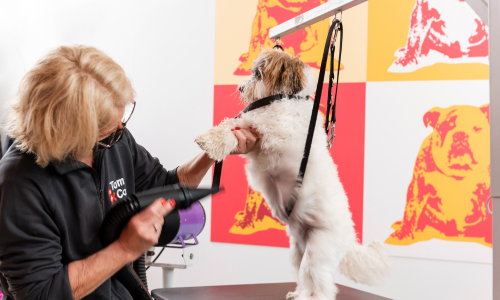 Tom&Beauty voor honden