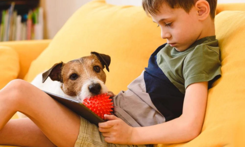 Plakkerige hond kan duiden op verveling