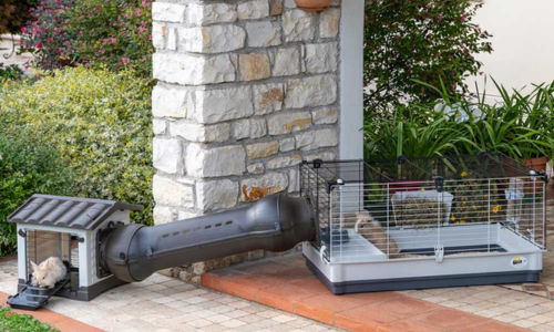 Positie van de konijnenkooi