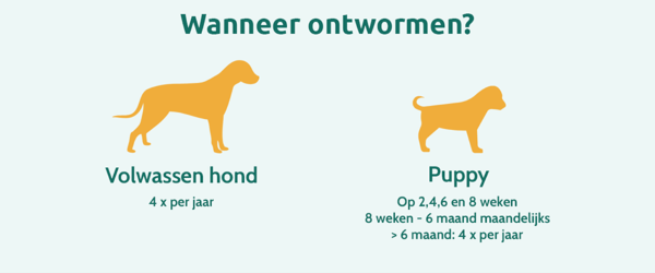 Schema ontwormen hond, richtlijnen voor puppy en volwassen hond.