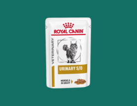 natvoer voor katten