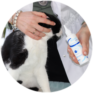 Juiste producten voor je kat gebruiken