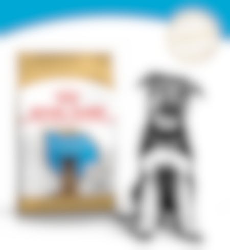 Royal Canin German Shepherd/Duitse Herder Puppy - Hondenvoer - 12kg 6 Royal Canin German Shepherd/Duitse Herder Puppy - Hondenvoer - 12kg -Hondenbenodigdheden Korting RoyalCanin BHN Puppy GermanSheperd module 1