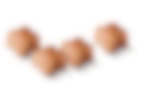 Royal Canin German Shepherd/Duitse Herder Puppy - Hondenvoer - 12kg 10 Royal Canin German Shepherd/Duitse Herder Puppy - Hondenvoer - 12kg -Hondenbenodigdheden Korting RoyalCanin BHN Puppy GermanSheperd module 4