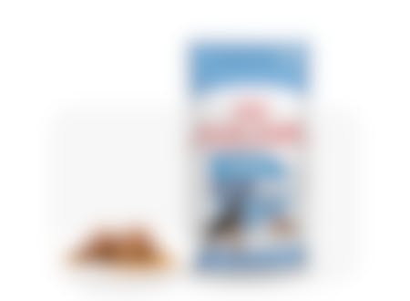 Royal Canin German Shepherd/Duitse Herder Puppy - Hondenvoer - 12kg 14 Royal Canin German Shepherd/Duitse Herder Puppy - Hondenvoer - 12kg -Hondenbenodigdheden Korting RoyalCanin BHN Puppy GermanSheperd module 5 1