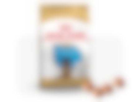 Royal Canin German Shepherd/Duitse Herder Puppy - Hondenvoer - 12kg 12 Royal Canin German Shepherd/Duitse Herder Puppy - Hondenvoer - 12kg -Hondenbenodigdheden Korting RoyalCanin BHN Puppy GermanSheperd module 5 2