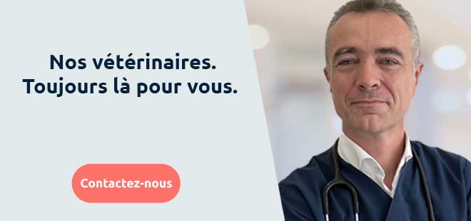 Conseils vétérinaires