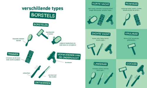 Verschillende types borstels